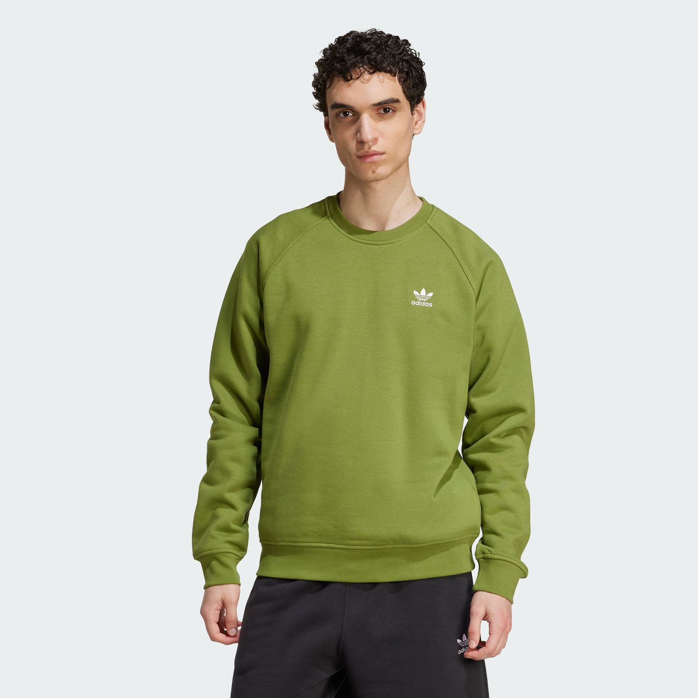 Men's adidas Trefoil Essentials Crew Sweatshirt