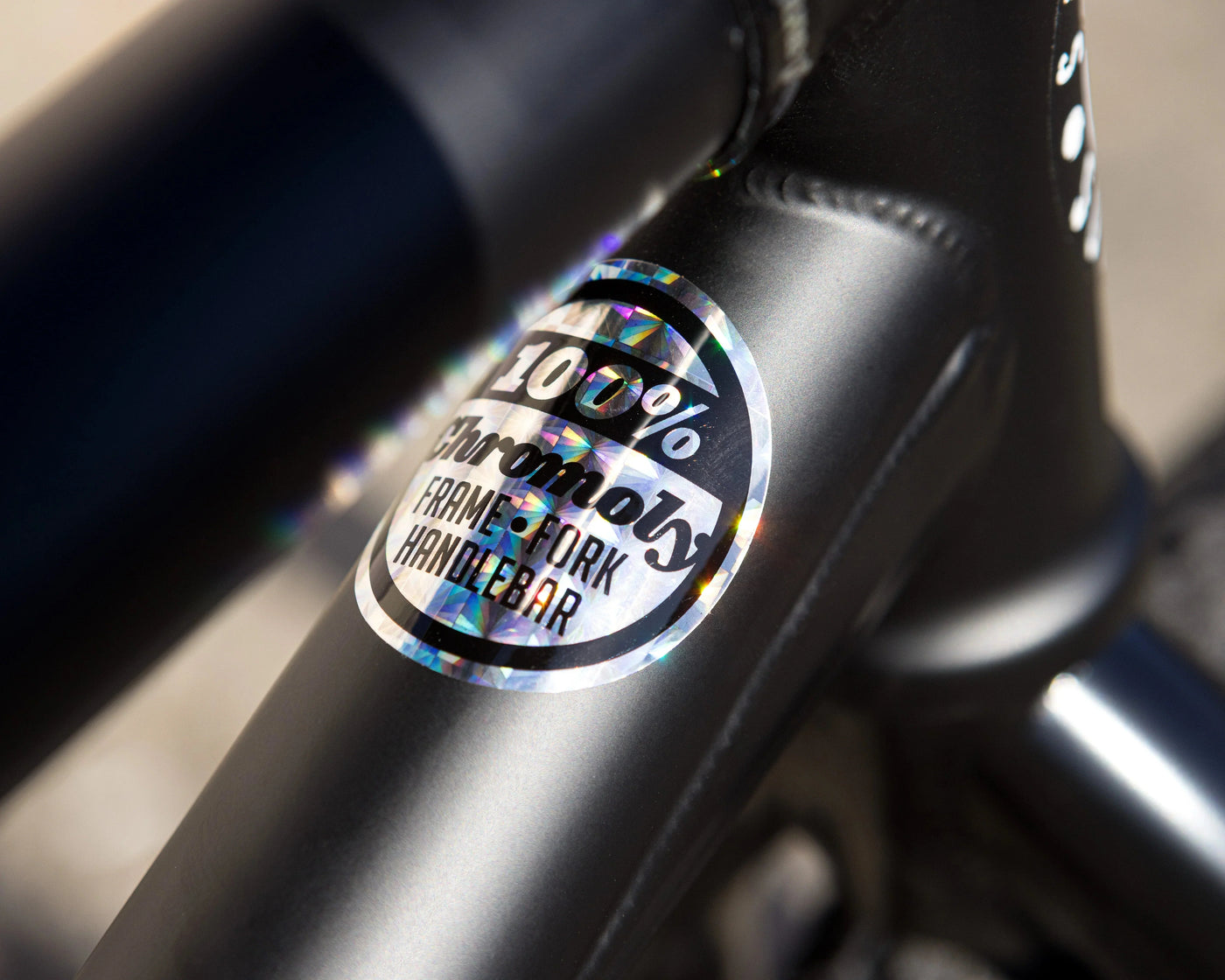 Sunday Wavelength Gary Young Signature Bike
