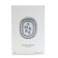 Diptyque Scented Insert - Amber  2.1g/0.07oz