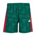 AOP World Soccer Short - Youth