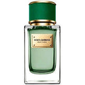 Dolce & Gabbana Velvet Cypress Unisex Eau De Parfum 150ml